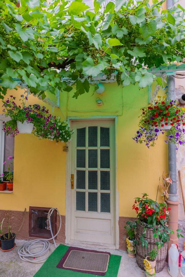Pine House Apartment Brasov Luaran gambar