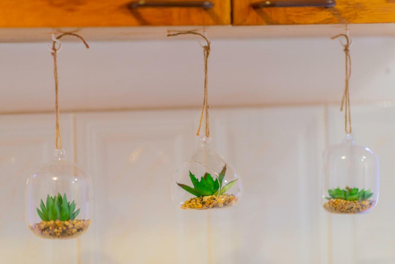 Pine House Apartment Brasov Luaran gambar